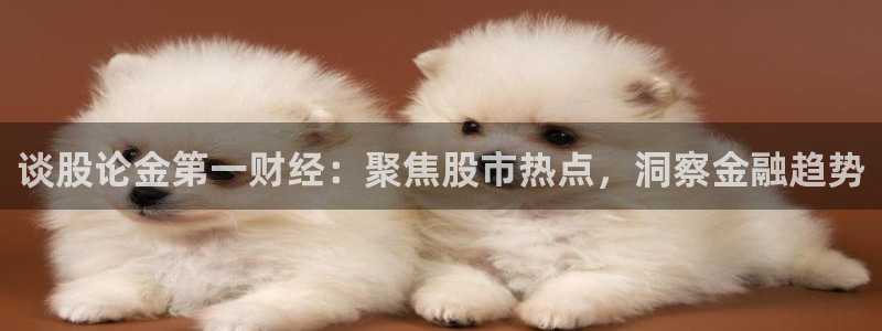 火凤足球直播：谈股论金第一财经：聚焦股市热点，洞察金融趋势