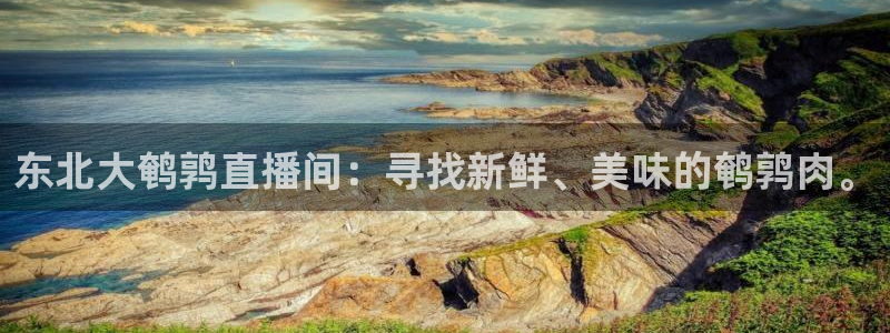 火凤直播：东北大鹌鹑直播间：寻找新鲜、美味的鹌鹑肉。