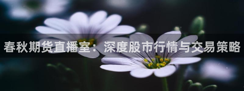 火凤直播篮球免费观看：春秋期货直播室：深度股市行情与交易策略