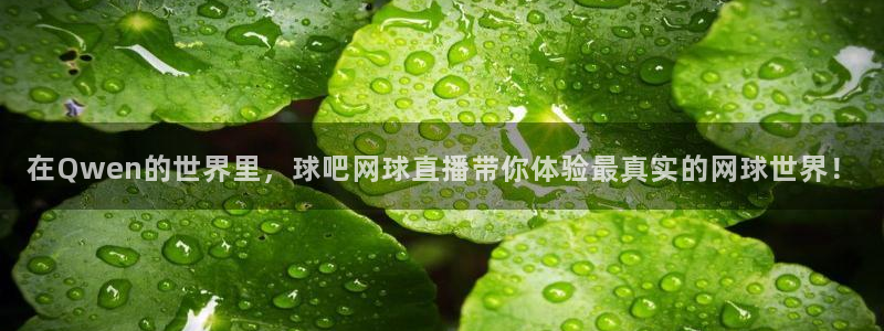 火凤直播体育直播最新赛程：在Qwen的世界里，球吧网球直播带你体验最真实的网球世界！